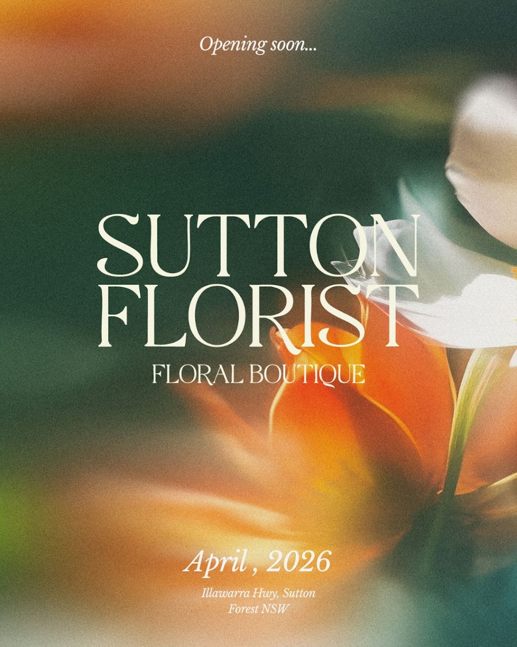 Sutton Florist | 7404 Illawarra Hwy, Sutton Forest NSW 2577, Australia | Phone: 0460 429 866