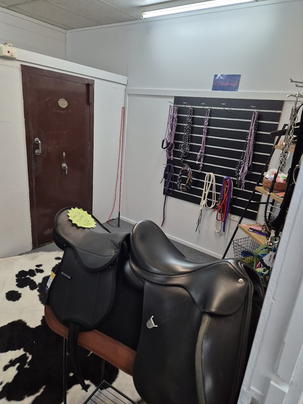 Fins and Fur | 52 Marshall St, Goondiwindi QLD 4390, Australia | Phone: 0448 507 158