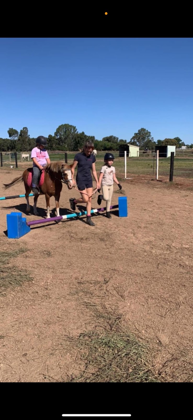 Devine Equine | 713 Graham Rd, Kyabram VIC 3620, Australia | Phone: 0428 939 638