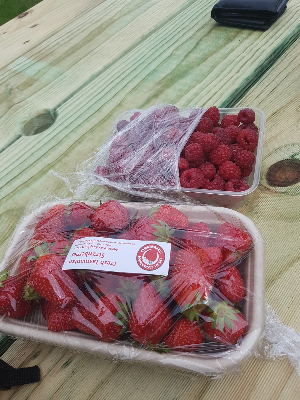 Westerway Raspberry Farm | store | 1488 Gordon River Rd, Westerway TAS 7140, Australia | 0447010701 OR +61 447 010 701