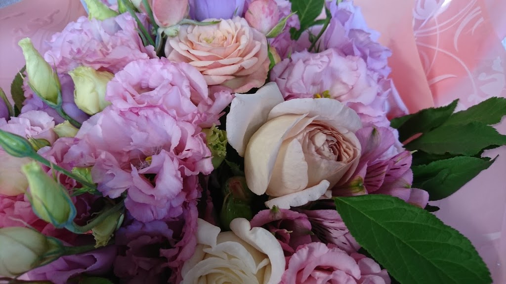 Eumundi Roses | florist | 79 Don Napier Rd, Eumundi QLD 4562, Australia | 0402052558 OR +61 402 052 558