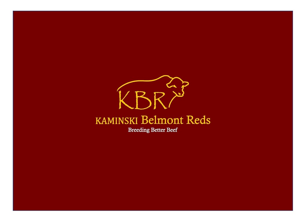 KBR Kaminski Belmont Reds | food | 92 Wharf Rd, Johns River NSW 2443, Australia | 0414525312 OR +61 414 525 312