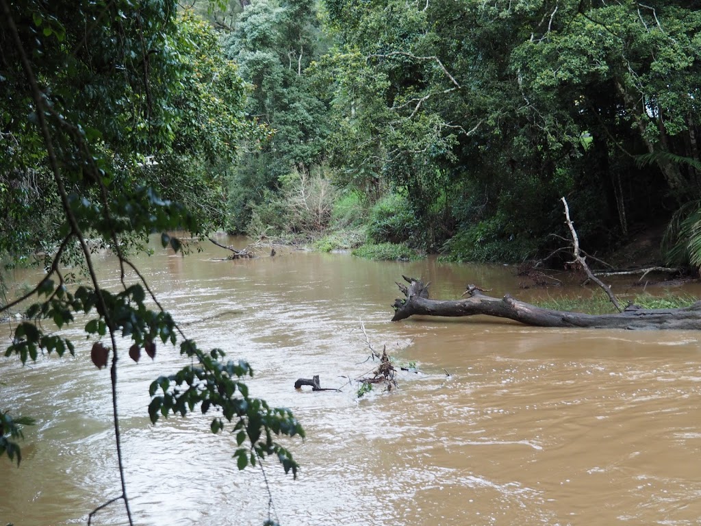 Eungella National Park-Broken River Section | Broken River QLD 4757, Australia