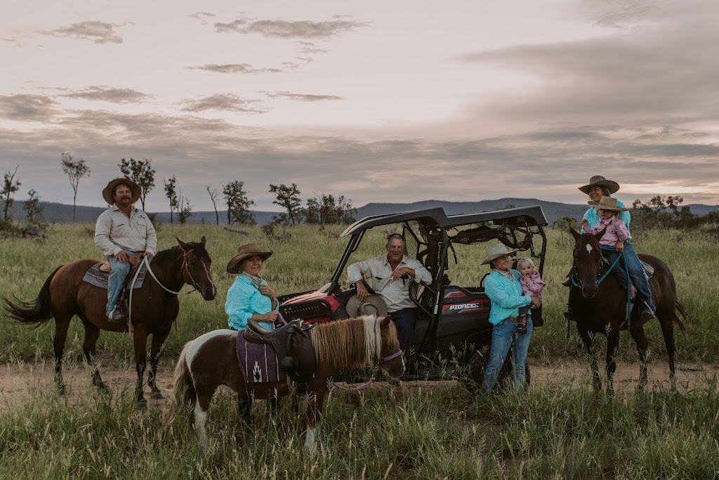 Donaldson Family Sale | 1221 Medway Ducabrook Rd, Lochington QLD 4720, Australia | Phone: 0429 412 804