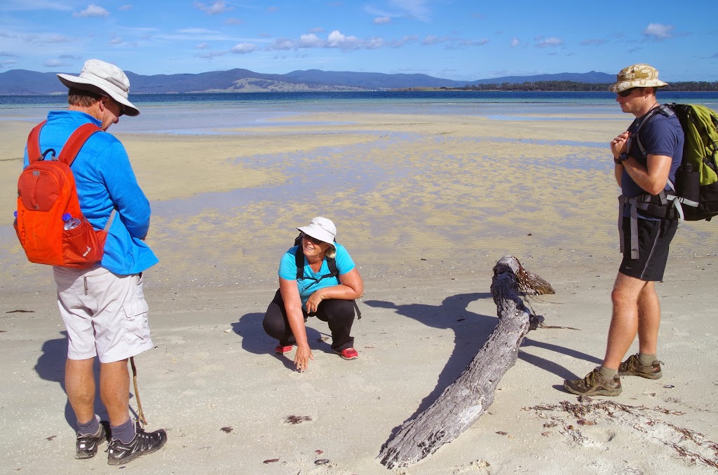 The Maria Island Guided Walk | Darlington, Maria Island TAS 7000, Australia | Phone: 0400 882 742