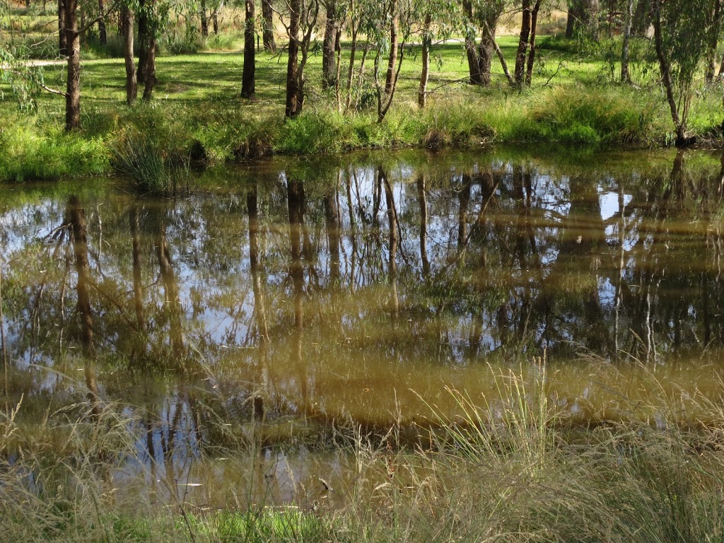 Wonga Wetlands | 2377 Riverina Hwy, Splitters Creek NSW 2640, Australia | Phone: (02) 6043 5820