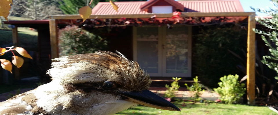 Bella Rouge Cottage | 18 Mount Porepunkah Rd, Bright VIC 3741, Australia | Phone: 0488 269 846