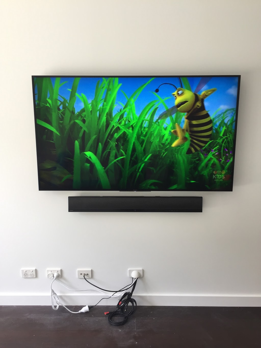 That TV Guy - TV Installations Northern Beaches | 8 Gondola Rd, Narrabeen NSW 2101, Australia | Phone: 0401 202 087