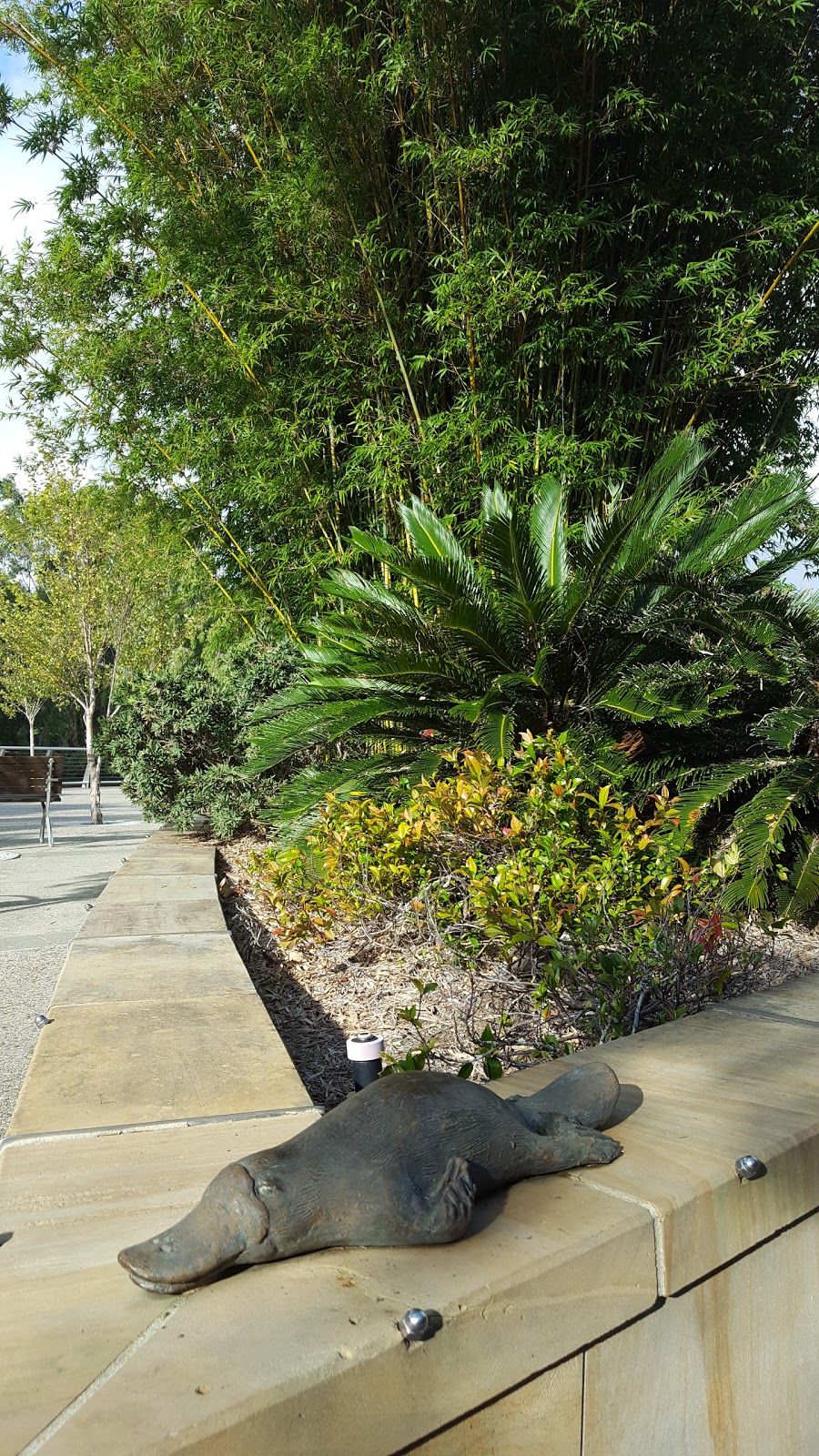 Gold Coast Regional Botanic Garden | park | Benowa QLD 4217, Australia