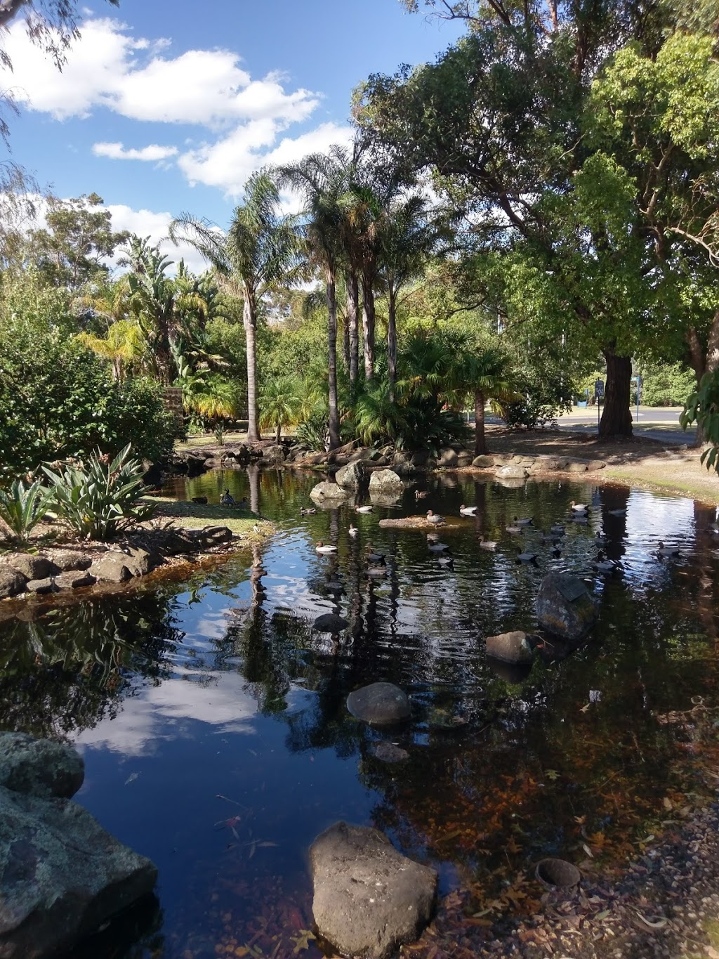 W. N. Sloan Garden - Springvale Botanical | 600 Princes Hwy, Springvale VIC 3171, Australia | Phone: (03) 8558 8278