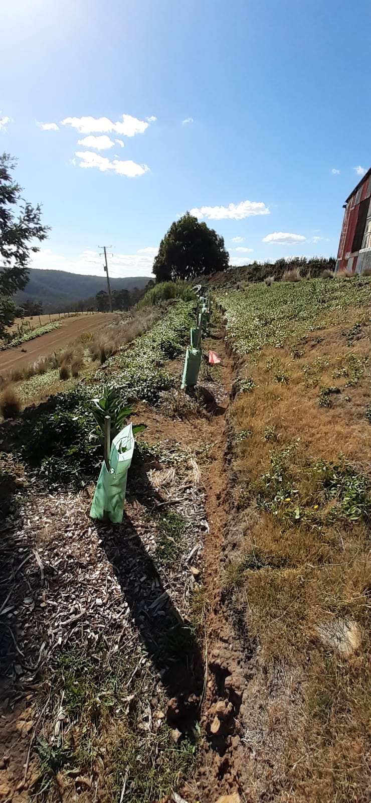 Tiger Hill Permaculture | Tiger Hill, 951 Sand River Rd, Buckland TAS 7190, Australia | Phone: (03) 6257 5128
