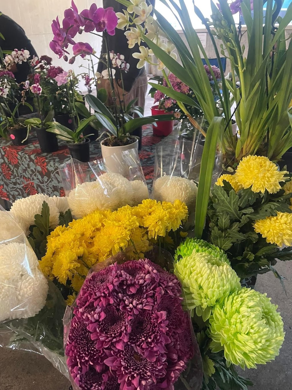 St Ives Showground Market | 454A Mona Vale Rd, St Ives NSW 2075, Australia | Phone: (02) 9999 2226