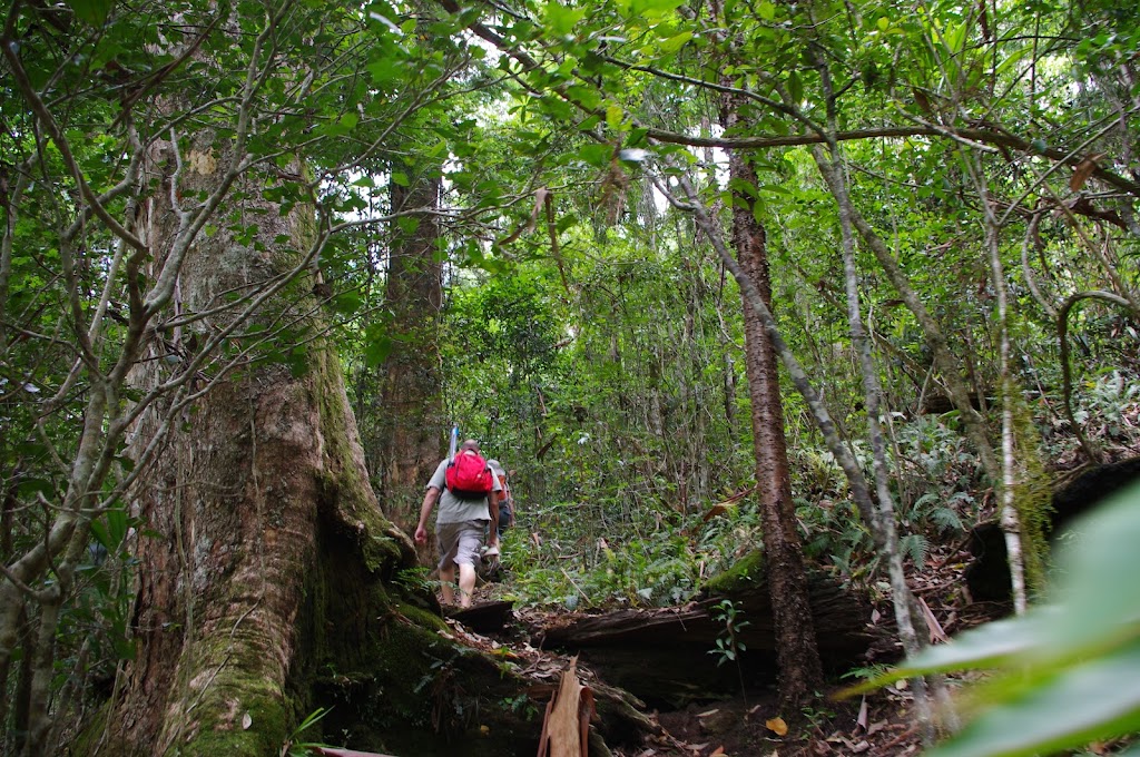 Kerry Valley Secret | campground | Stockyard Creek Rd, Darlington QLD 4285, Australia | 0477240230 OR +61 477 240 230