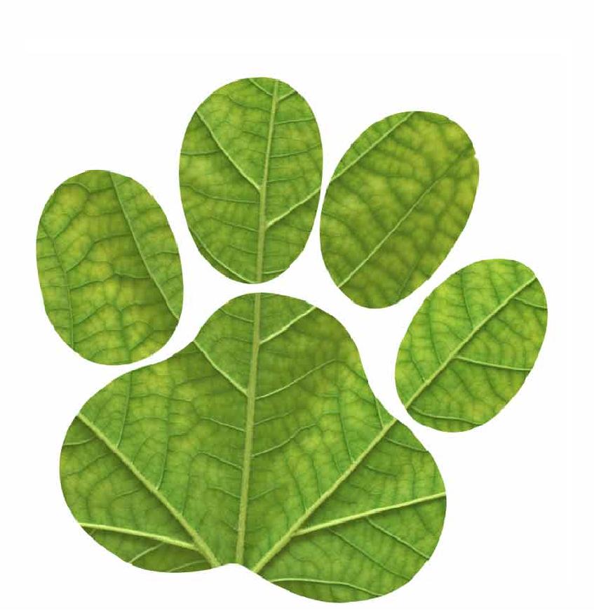NatureDog Raw Dog Food | pet store | 6/17-19 Edinburgh St, Oakleigh South VIC 3167, Australia | 0409004630 OR +61 409 004 630