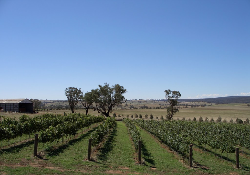 Trandari Wines |  | 26 Murringo Gap Rd, Murringo NSW 2586, Australia | 0263839262 OR +61 2 6383 9262