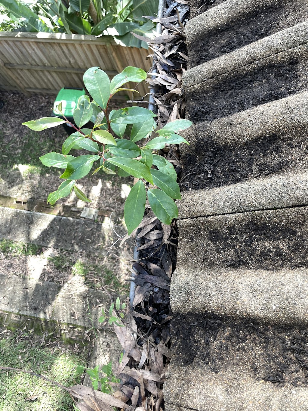 Beaches Gutter Clean | Morella Rd, Whale Beach NSW 2107, Australia | Phone: 0405 613 711