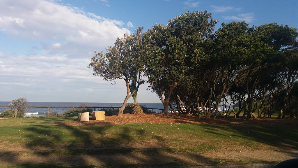 Naomi Honey Reserve | park | Shelly Beach NSW 2261, Australia