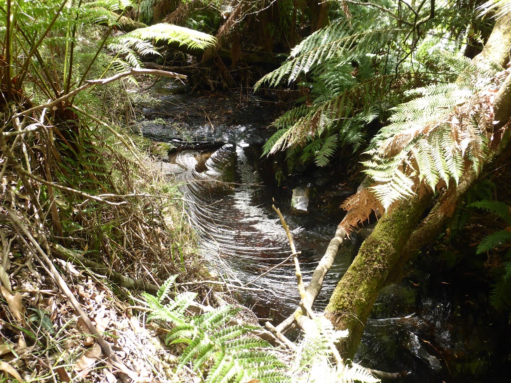 Won Wondah Falls | Henderson Track, Lorne VIC 3232, Australia | Phone: 13 19 63