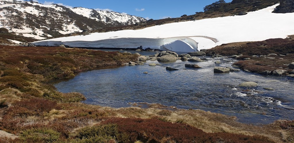 Charlotte Pass Snow Resort | Unnamed Road, Kosciuszko National Park NSW 2627, Australia | Phone: (02) 6457 1555