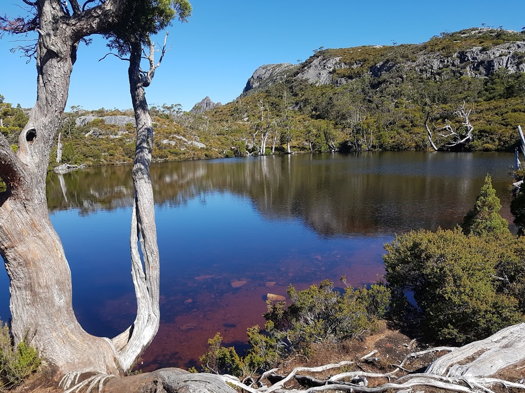 Cradle Mountain-Lake St Clair National Park | Tasmania, Australia | Phone: (03) 6289 1172