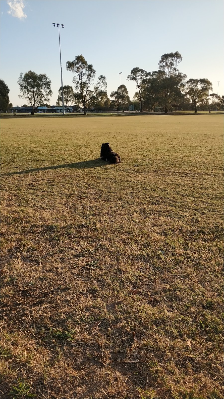 J C Donath Reserve | park | Reservoir VIC 3073, Australia