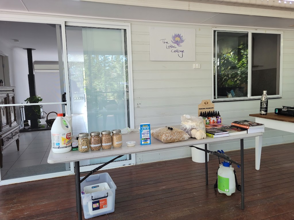 The Lotus Cottage | 8/14 Conifer Ct, Logan Village QLD 4207, Australia | Phone: 0435 774 564 The Lotus Cottage | 8/14 Conifer Ct, Logan Village QLD 4207, Australia | Phone: 0435 774 564