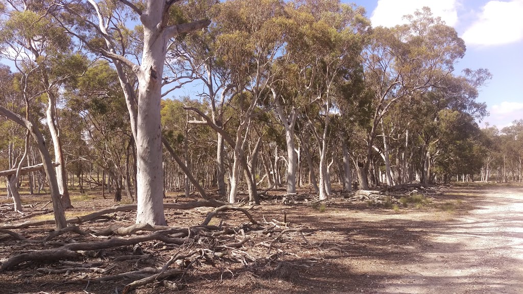 Mulligans Flat Nature Reserve | park | Australian Capital Territory 2914, Australia