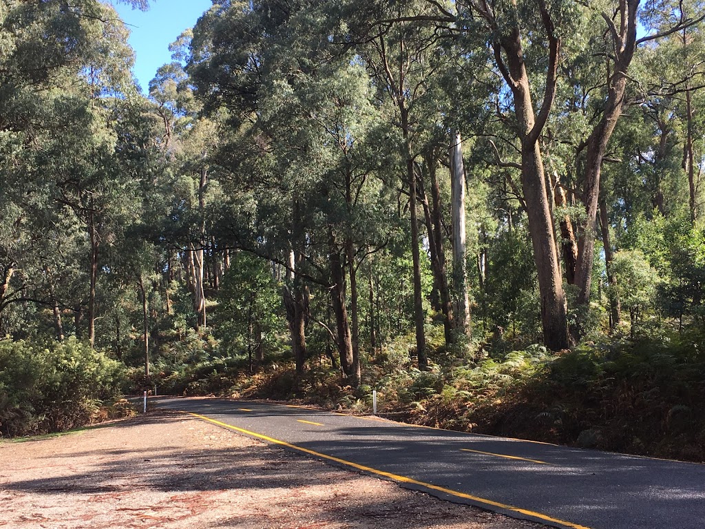 Eurobin Creek Picnic Area | park | 575 Mount Buffalo Rd, Porepunkah VIC 3740, Australia | 131963 OR +61 131963