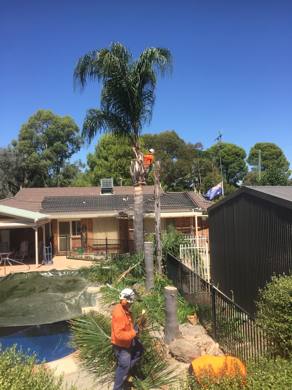 Murray River Tree Services | Pasley St, Bundalong VIC 3730, Australia | Phone: 0437 799 837