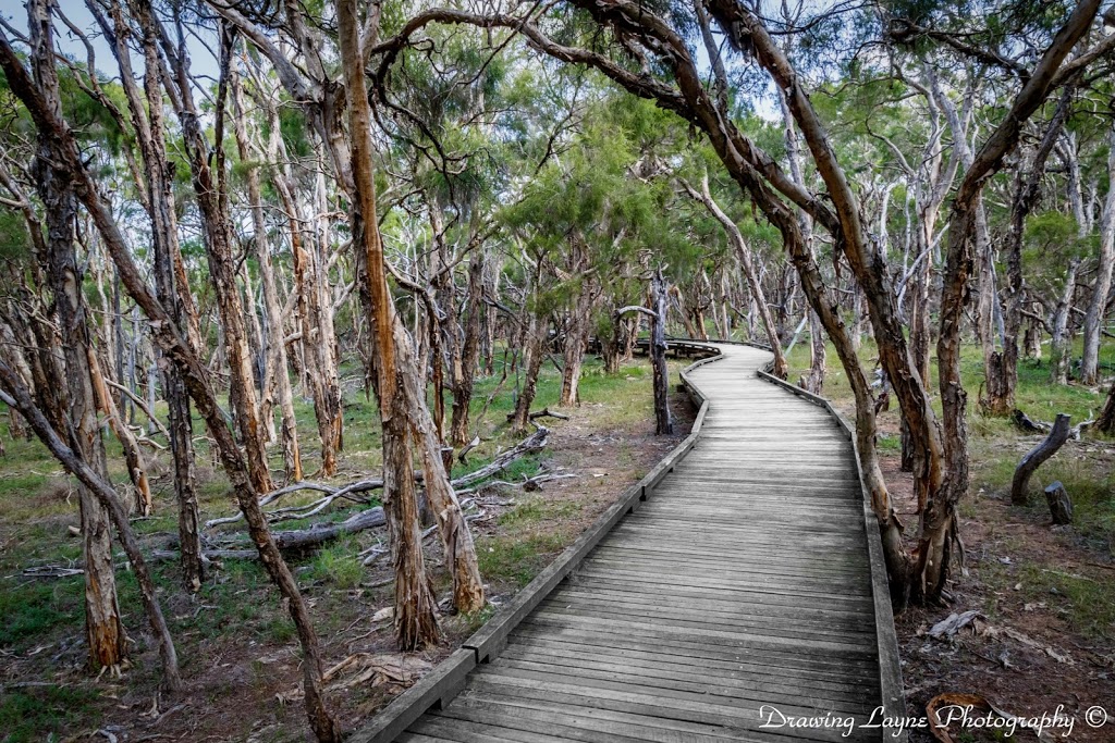 Purga Nature Reserve | 840 Middle Rd, Purga QLD 4306, Australia | Phone: (07) 3810 6666