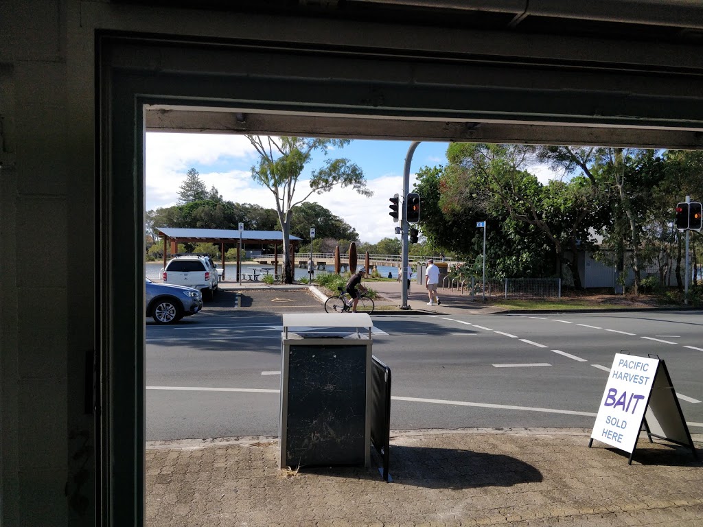 Swan Bites On Bradman | 57 Bradman Ave, Maroochydore QLD 4558, Australia | Phone: (07) 5443 3132