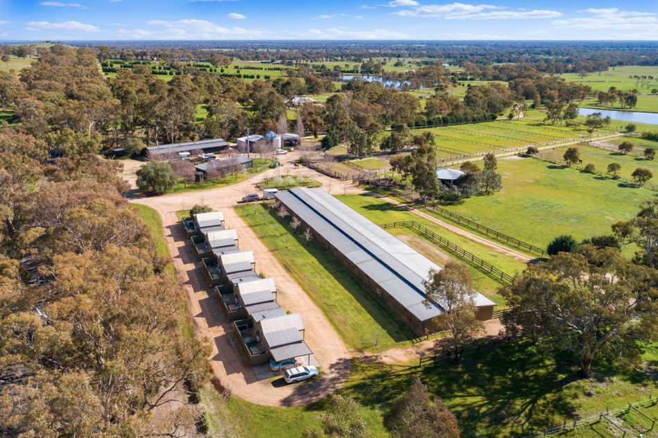 Longwood Thoroughbred Farm | 197 Longwood-Ruffy Rd, Longwood East VIC 3666, Australia | Phone: (0419) 296523