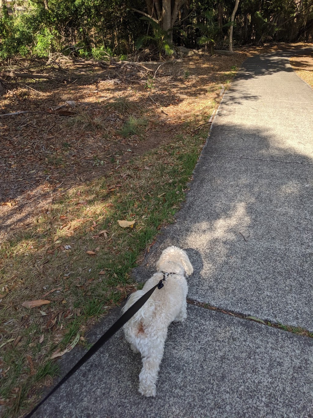 Windemere Road Dog Off Leash Park | park | Alexandra Hills QLD 4161, Australia