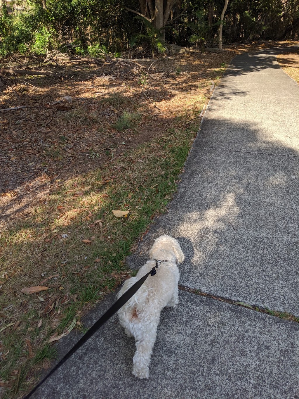 Windemere Road Dog Off Leash Park | Alexandra Hills QLD 4161, Australia