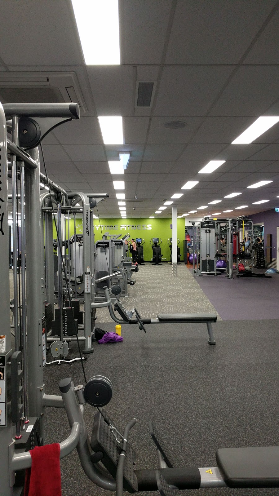 Anytime Fitness | gym | 64 Outlook Dr, Dandenong North VIC 3175, Australia | 0397900655 OR +61 3 9790 0655