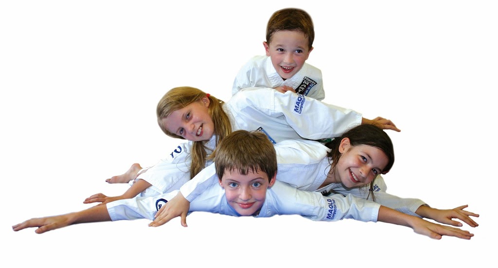 Martial Arts Queensland | 41 Chaprowe Rd, The Gap QLD 4061, Australia | Phone: 1300 766 634