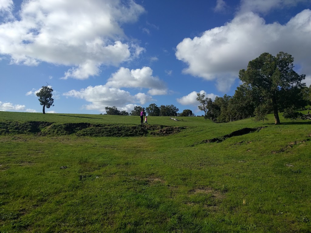 Jacaranda Hill Farm | 192 Morrell Rd, Fairbridge WA 6208, Australia | Phone: 0419 482 687