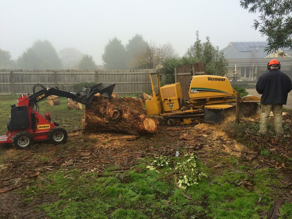 Cut It Right Tree Service | 11 Wandella Rd, Mornington VIC 3931, Australia | Phone: 0415 776 062