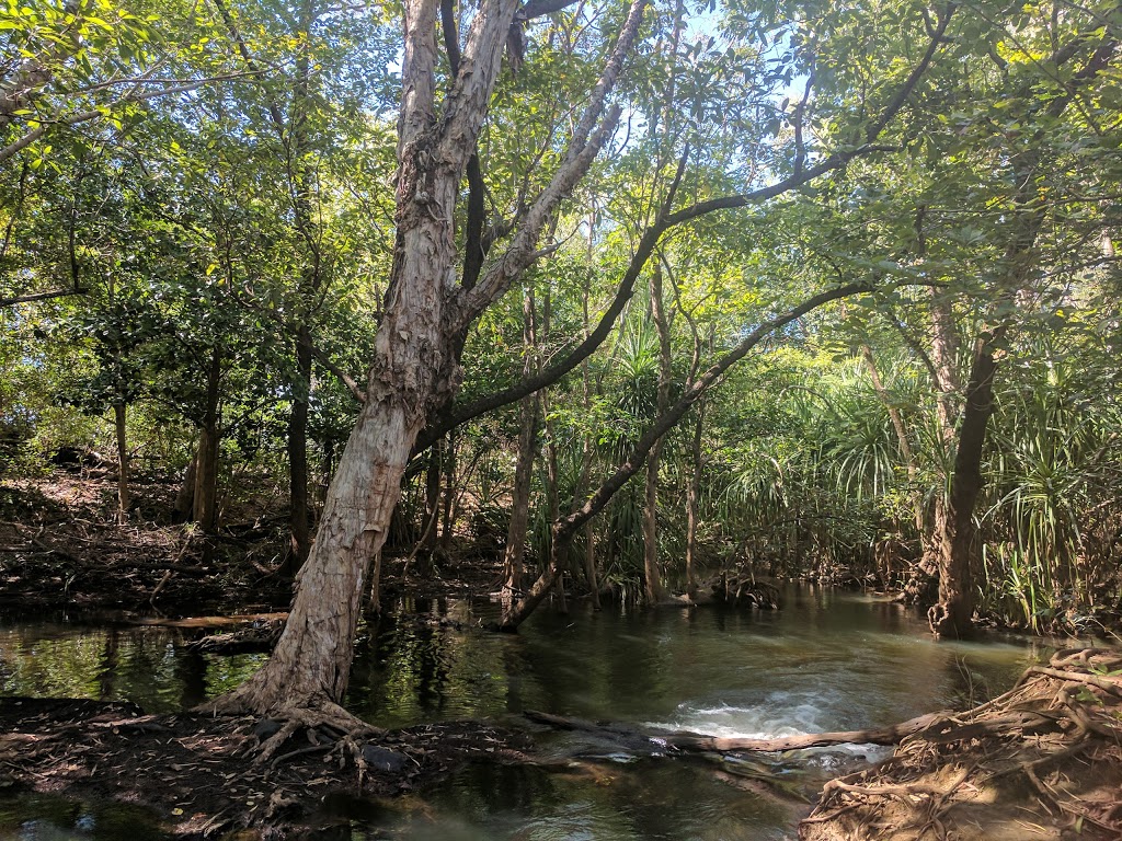 Coomalie Creek RV Park | LOT 164 Stuart Hwy, Coomalie Creek NT 0822, Australia | Phone: (08) 8976 0501