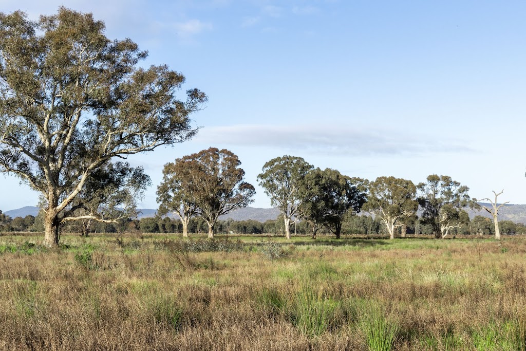 Warby Views Estate | crn cruse and, Sophiaridge Bvd, Wangaratta VIC 3677, Australia | Phone: 0404 877 326