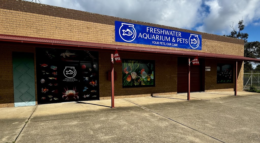 Freshwater Aquariums & Pets | 16 Longfield St, Stawell VIC 3380, Australia | Phone: 0400 927 762