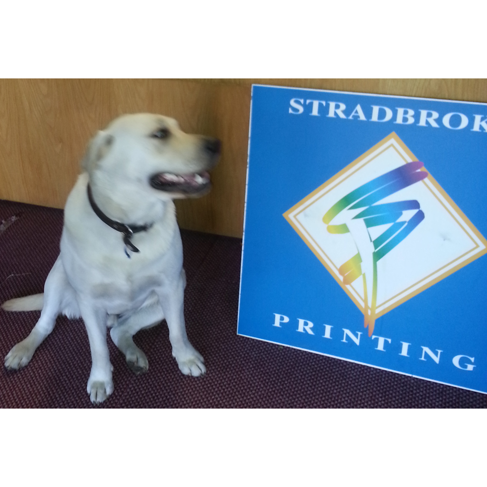 Stradbroke Printing | store | 76 Hume Hwy, Somerton VIC 3062, Australia | 0393053111 OR +61 3 9305 3111