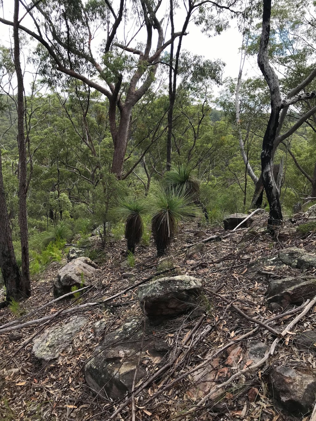 Lockyer National Park | park | Helidon QLD 4344, Australia