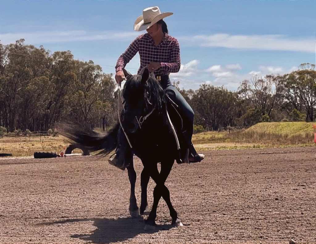 Yeramba Park Performance Horses | 1199 Eukey Rd, Eukey QLD 4380, Australia | Phone: 0474 858 405 Yeramba Park Performance Horses | 1199 Eukey Rd, Eukey QLD 4380, Australia | Phone: 0474 858 405