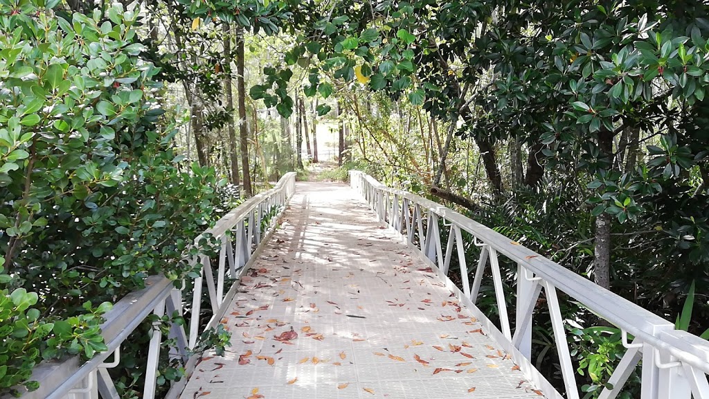 Lake Dunethin Pier | Maroochy River QLD 4561, Australia