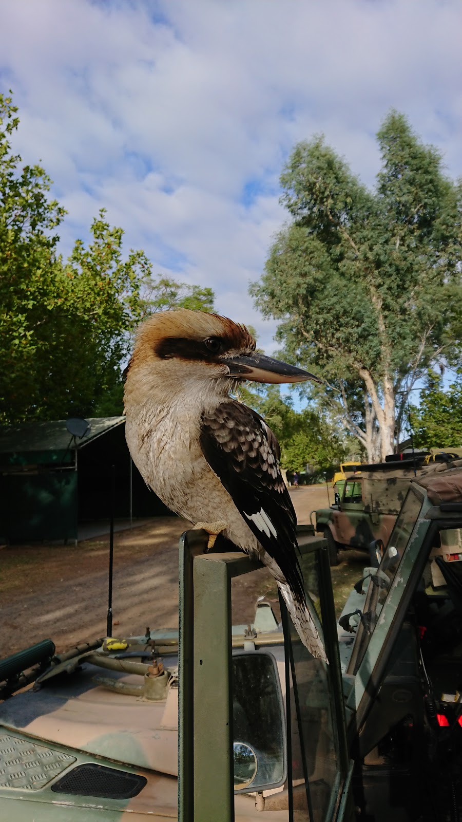 Ball Park Caravan Park | rv park | Bridge Rd, Corowa NSW 2646, Australia | 0260331426 OR +61 2 6033 1426