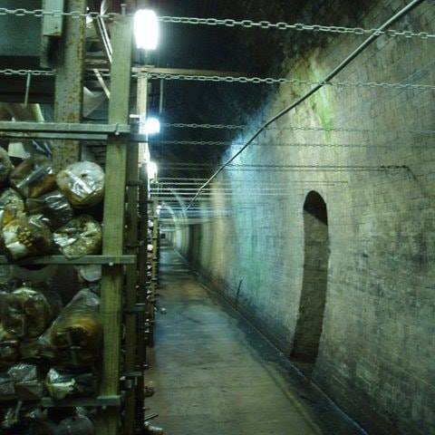 Glenbrook Tunnel (West Entrance) | museum | Glenbrook NSW 2773, Australia