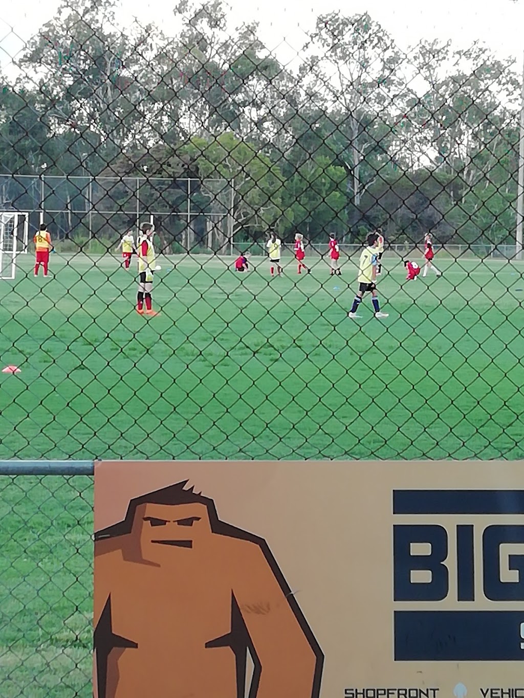 Brighton District Football Club | Wakefield Park, Wickham St, Brighton QLD 4017, Australia | Phone: (07) 3269 6895