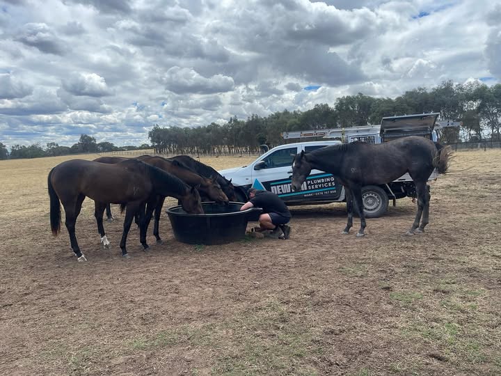 Newton Plumbing Services | 30 Sarakos Cct, Wangaratta VIC 3676, Australia | Phone: 0478 767 808