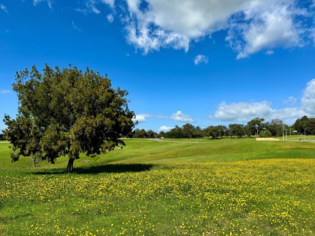 Wy Yung Acres | 30 Clifton W Rd, Wy Yung VIC 3875, Australia | Phone: 0439 998 648 Wy Yung Acres | 30 Clifton W Rd, Wy Yung VIC 3875, Australia | Phone: 0439 998 648